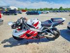 2000 Honda CBR900 RR