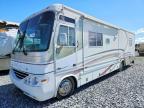 2001 Damon 2001 Challenger RV