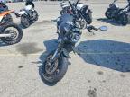 2023 Ducati Scrambler 1100