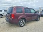 2013 Honda Pilot exl