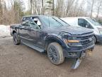 2025 Ford F150 XLT