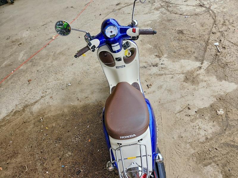 2024 Honda NCW50