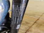 2019 Harley-Davidson Fxbbs