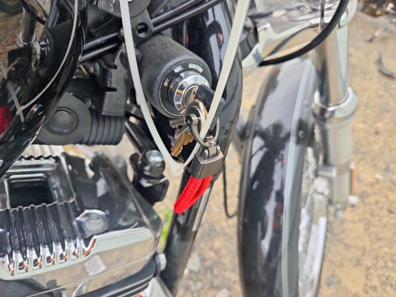 2010 Harley-Davidson XL1200 C