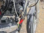 2010 Harley-Davidson XL1200 C