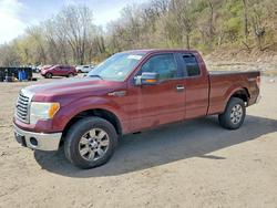 Ford salvage cars for sale: 2010 Ford F150 Super cab