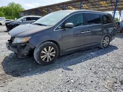 Honda Odyssey salvage cars for sale: 2015 Honda Odyssey exl