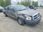2005 Dodge Dakota Quattro