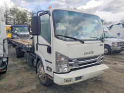 Isuzu NPR Vehiculos salvage en venta: 2021 Isuzu NRR