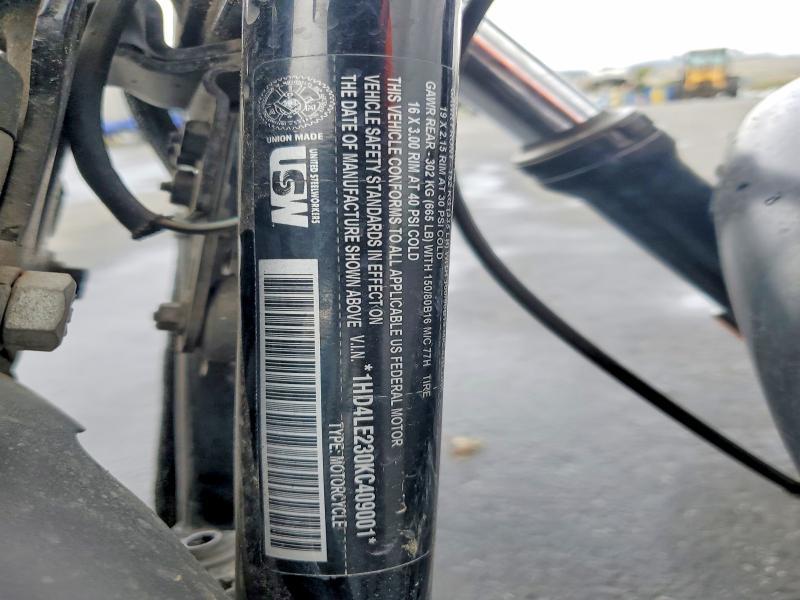 2019 Harley-Davidson XL883 N