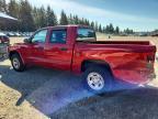 2007 Dodge Dakota Quattro