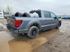 2024 Ford F150 XLT