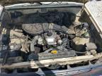 1984 Toyota Pickup Base
