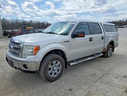 Ford f150 Supercrew Vehiculos salvage en venta: 2013 Ford F150 Supercrew