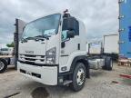 2019 Isuzu FTR Truck Cab AND Chassis
