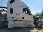 2019 Freightliner Cascadia 126 Semi Truck