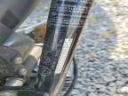 2001 Harley-Davidson FAT BOY