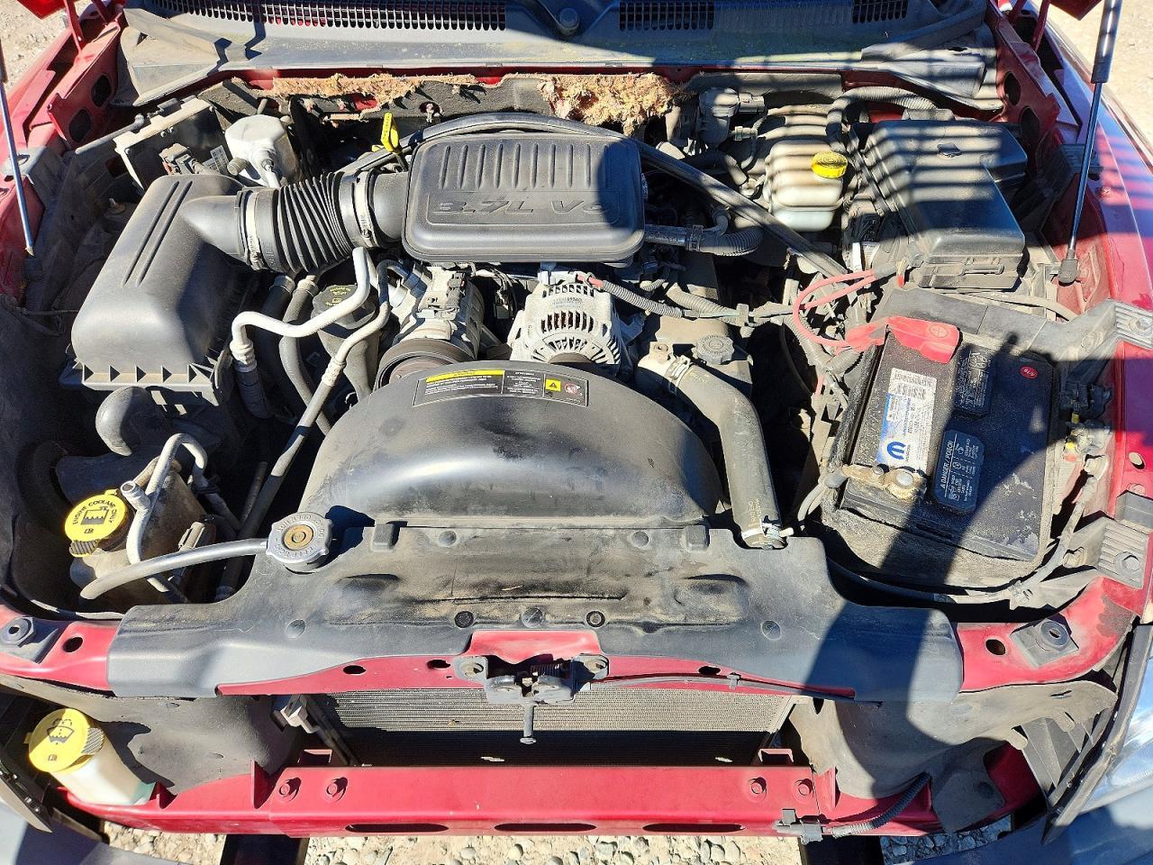 2007 Dodge Dakota Quattro