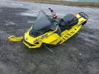 2020 Skidoo MXZ