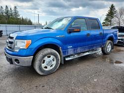 Ford Vehiculos salvage en venta: 2014 Ford F150 Supercrew