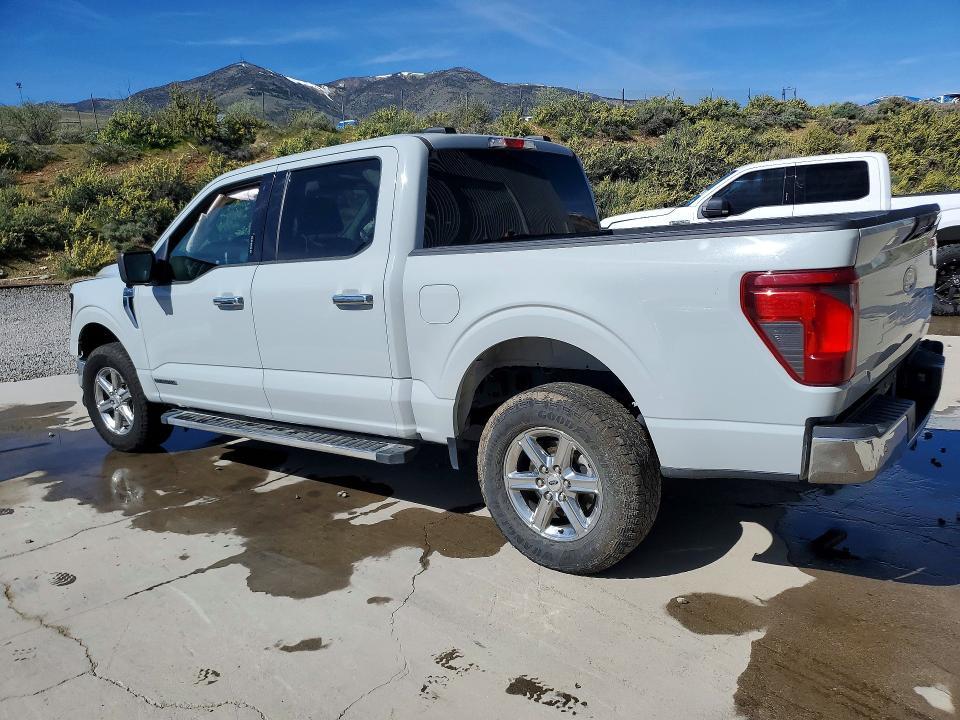 2024 Ford F150 xlt