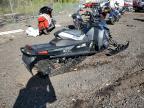 2017 Skidoo Renegad