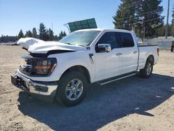 Salvage trucks for sale at Spanaway, WA auction: 2024 Ford F150 XLT
