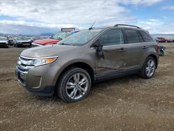 Ford Edge Limited salvage cars for sale: 2013 Ford Edge Limited