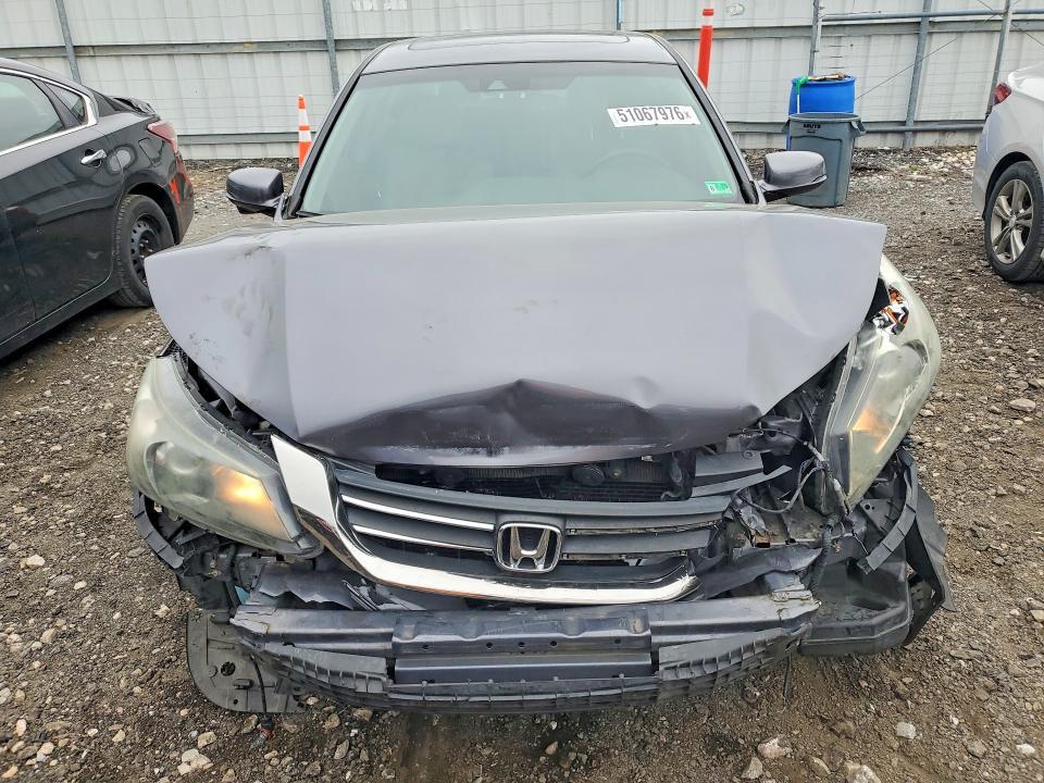 2013 Honda Accord exl