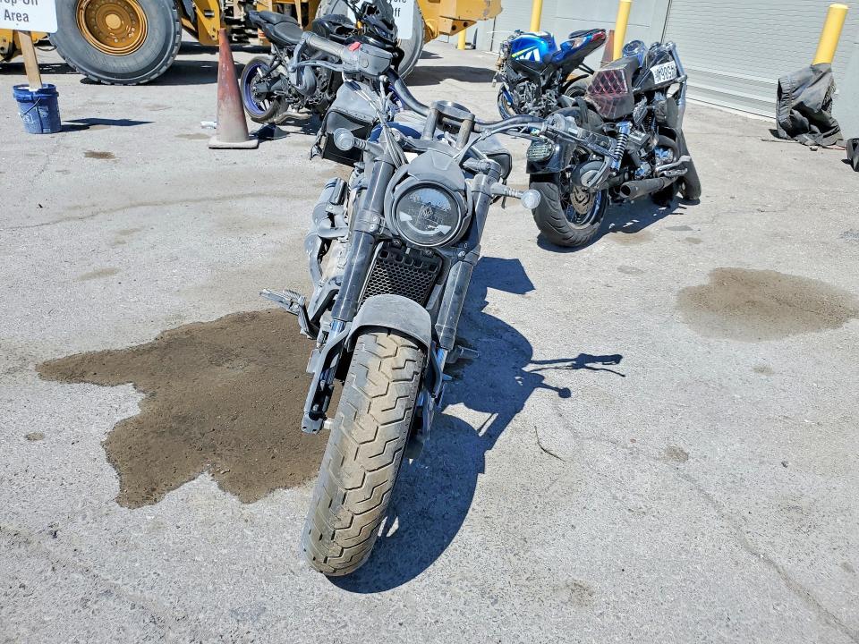 2025 Other Chinchilla