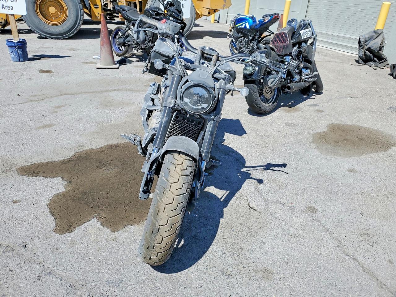 2025 Other Chinchilla