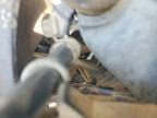 1999 Honda GL1500 SE12