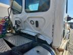 2019 Freightliner Cascadia 125 Semi Truck