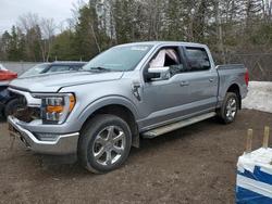 2023 Ford F150 Supercrew en venta en Cookstown, ON
