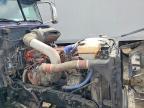 2011 Peterbilt 386
