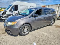 Salvage cars for sale from Copart Van Nuys, CA: 2013 Honda Odyssey exl