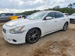 2012 Nissan Maxima 3.5 s for sale in Greenwell Springs, LA