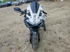 2026 Cf Moto 675SS
