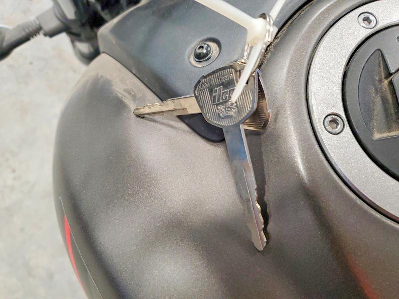 2021 Kawasaki EN650 D