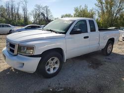 Dodge salvage cars for sale: 2010 Dodge Dakota sxt