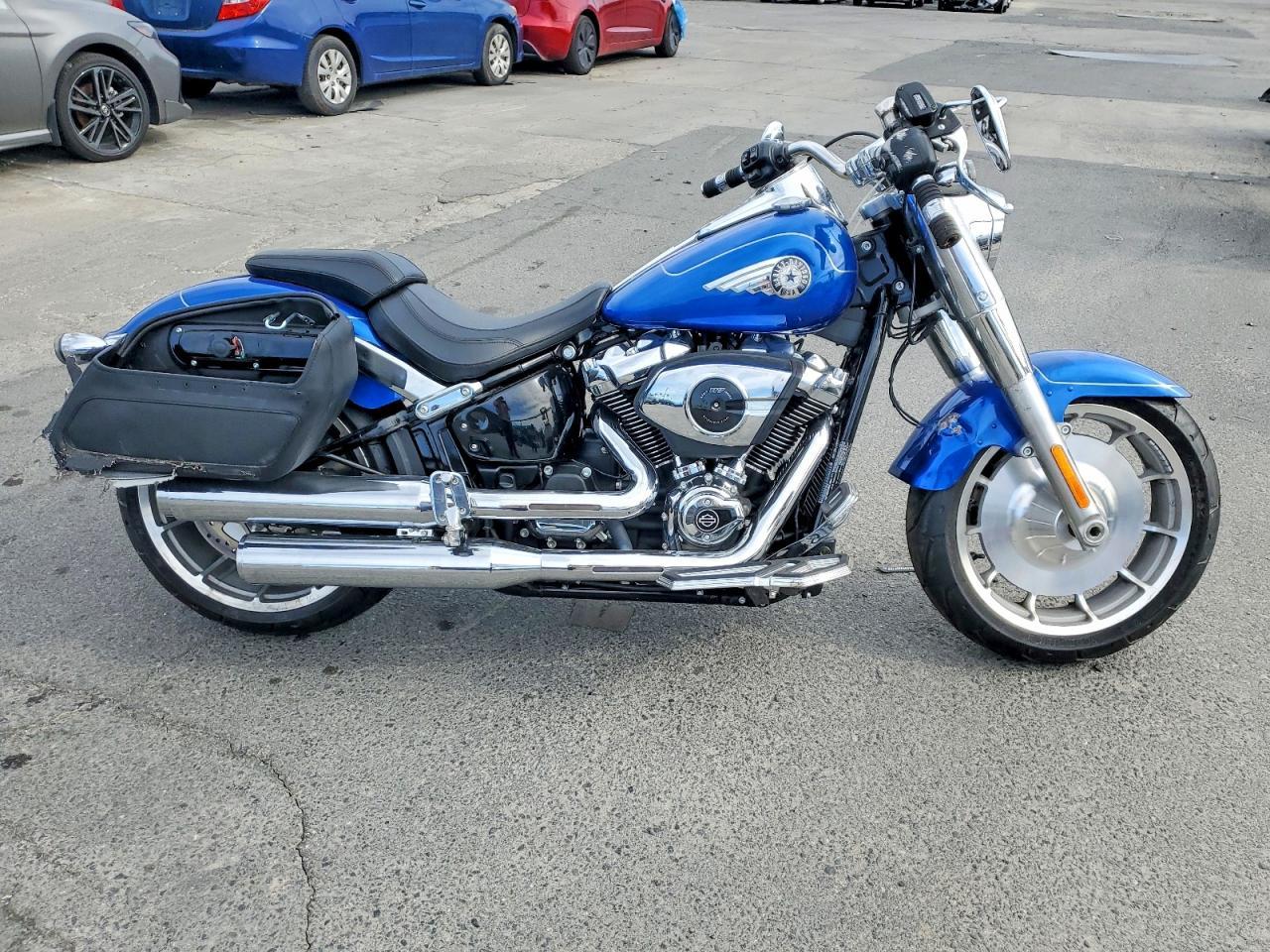 2025 Harley-Davidson Flfb