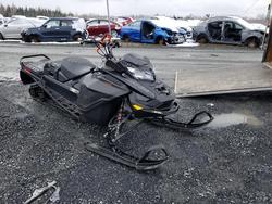 Skidoo Snowmobile Vehiculos salvage en venta: 2025 Skidoo Snowmobile