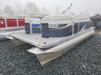 2013 Apex Quest