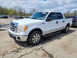 Salvage trucks for sale at Marlboro, NY auction: 2010 Ford F150 Supercrew