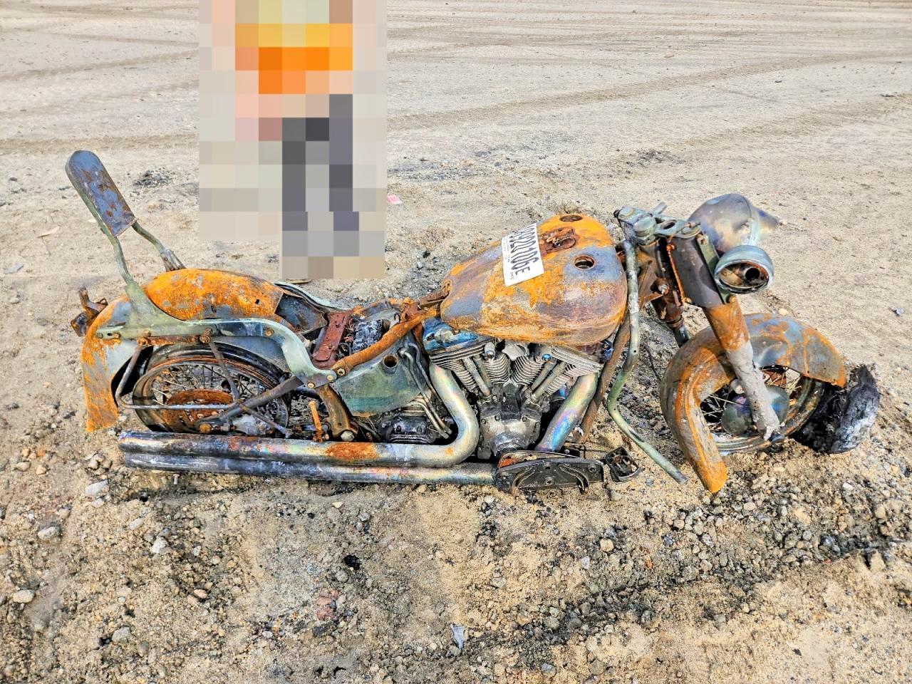 2006 Harley-Davidson Flstci