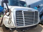 2017 Freightliner Cascadia 125 Semi Truck
