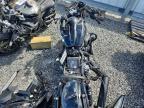 2025 Harley-Davidson Flhx