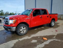 Salvage trucks for sale at Lawrenceburg, KY auction: 2014 Ford F150 Supercrew