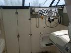 1999 Bayliner Bayliner