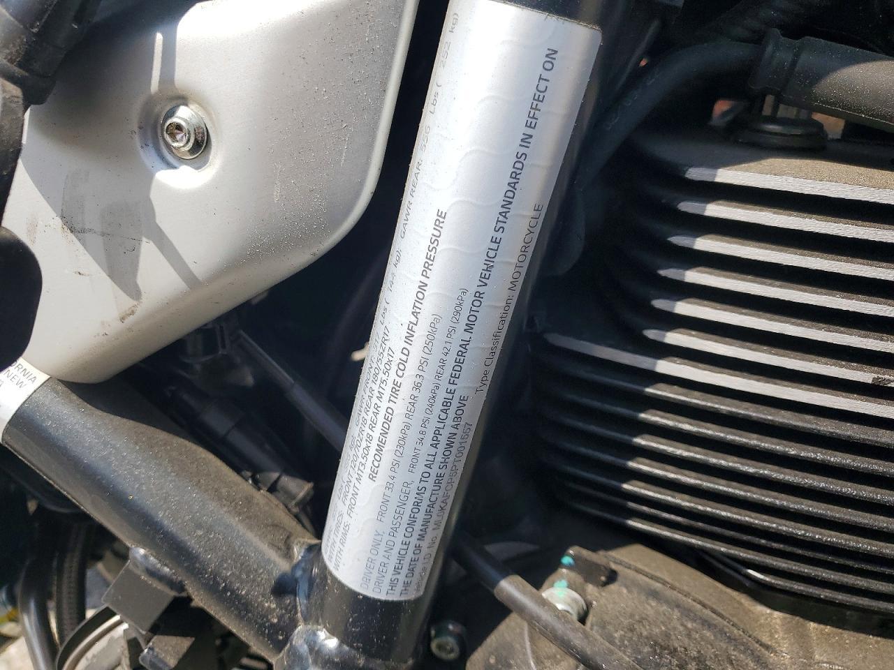2023 Ducati Scrambler 1100